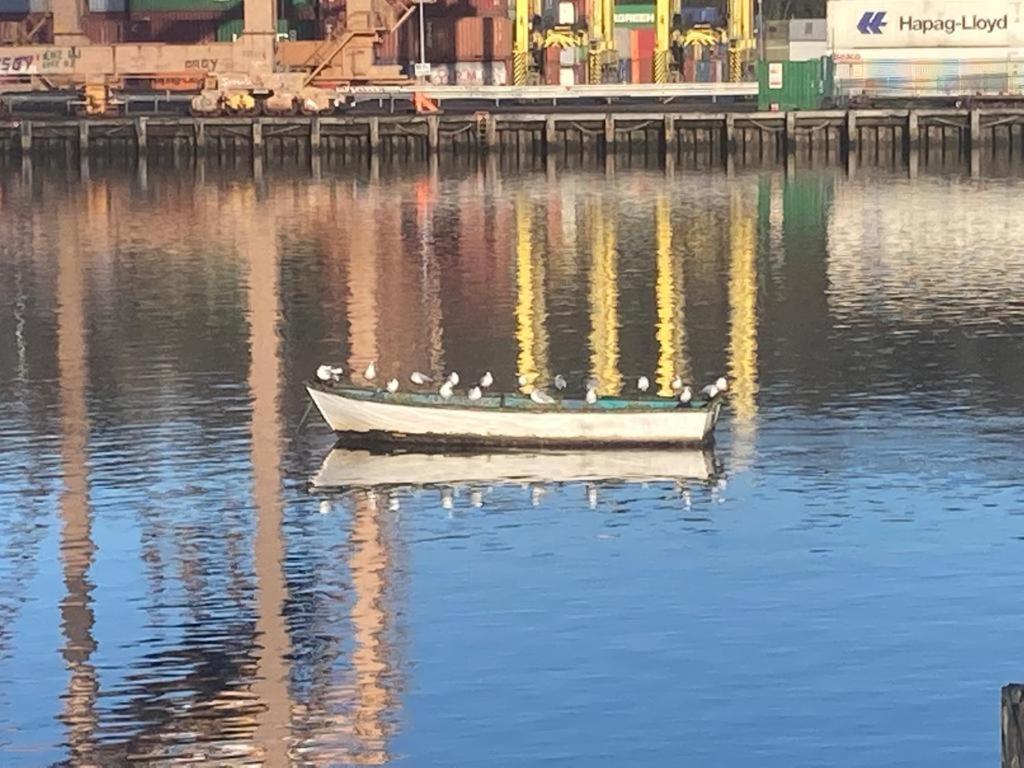 Blackrock Carole Ville Guesthouse Cork Exterior foto